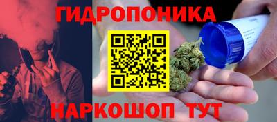 гашик Малгобек