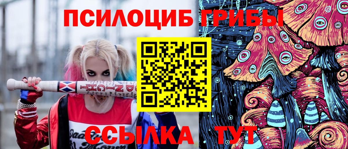 Псилоцибиновые грибы прущие грибы  Вход с VPN  Псилоцибиновые грибы GOLDEN TEACHER  Заводоуковск 